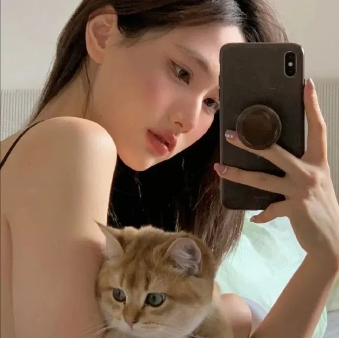 志愿军：浴血和平